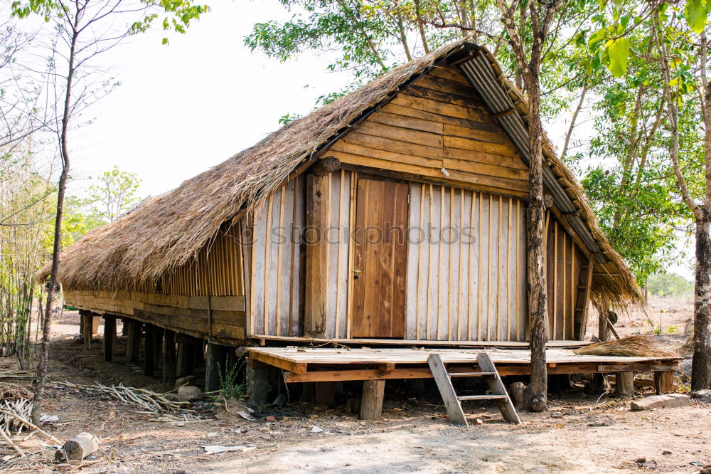 Similar – Image, Stock Photo Wooden house in forest