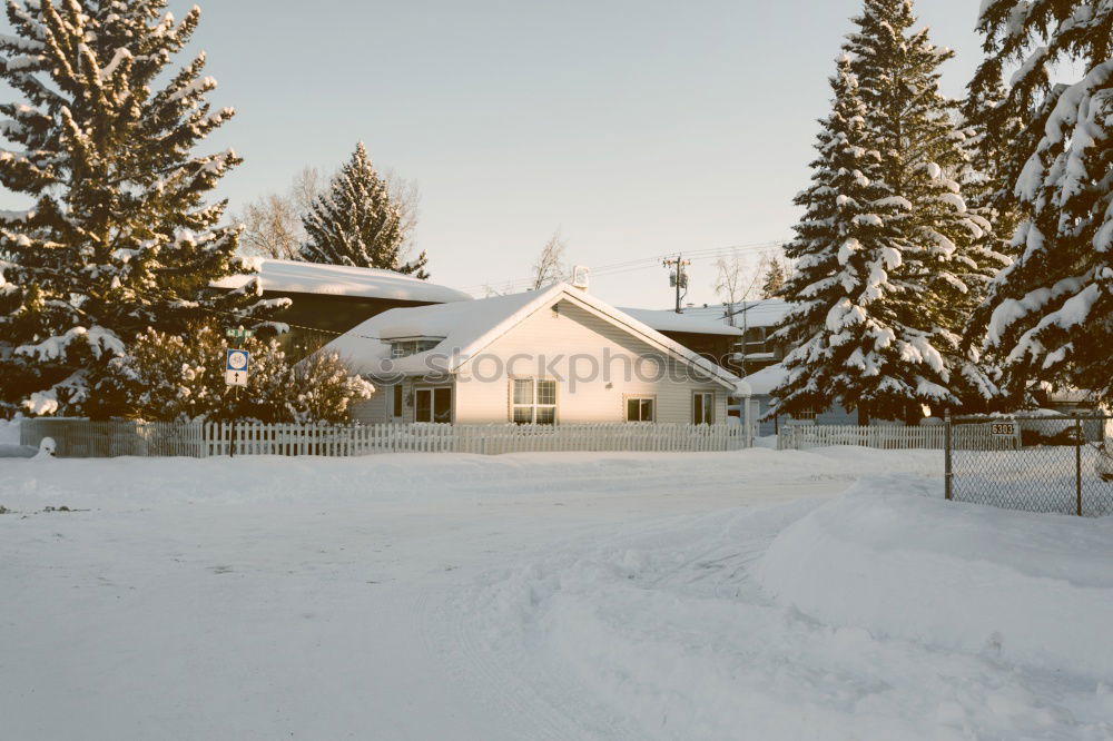 Similar – Image, Stock Photo Evening sun in the winter landscape