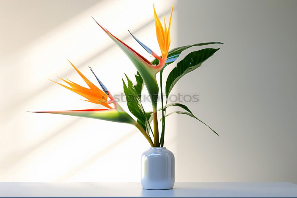 Similar – lilies Plant Flower Leaf