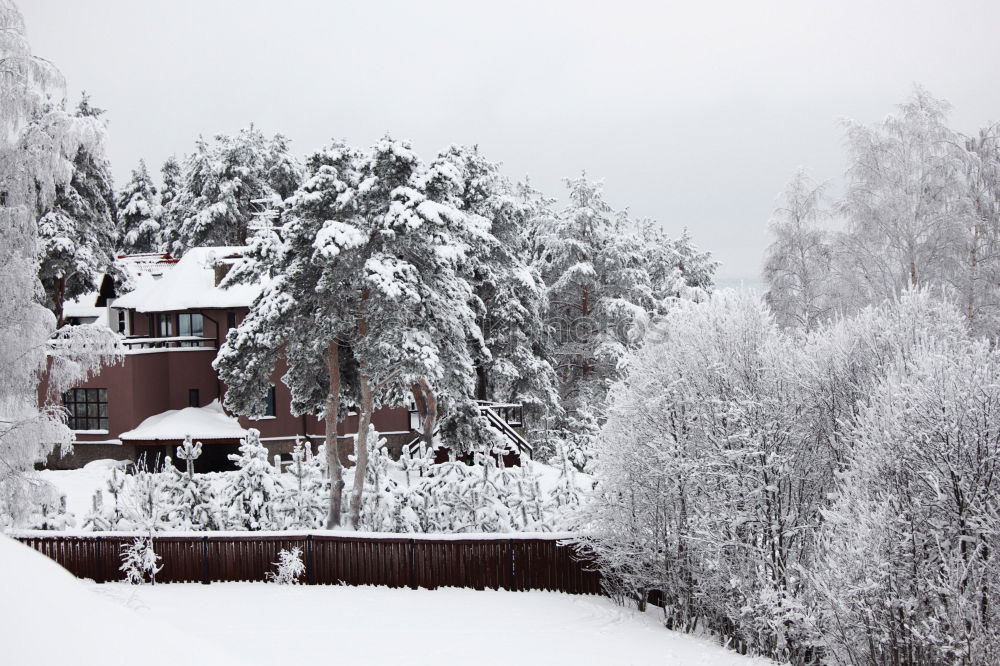 Similar – Strict winter in the Black Forest