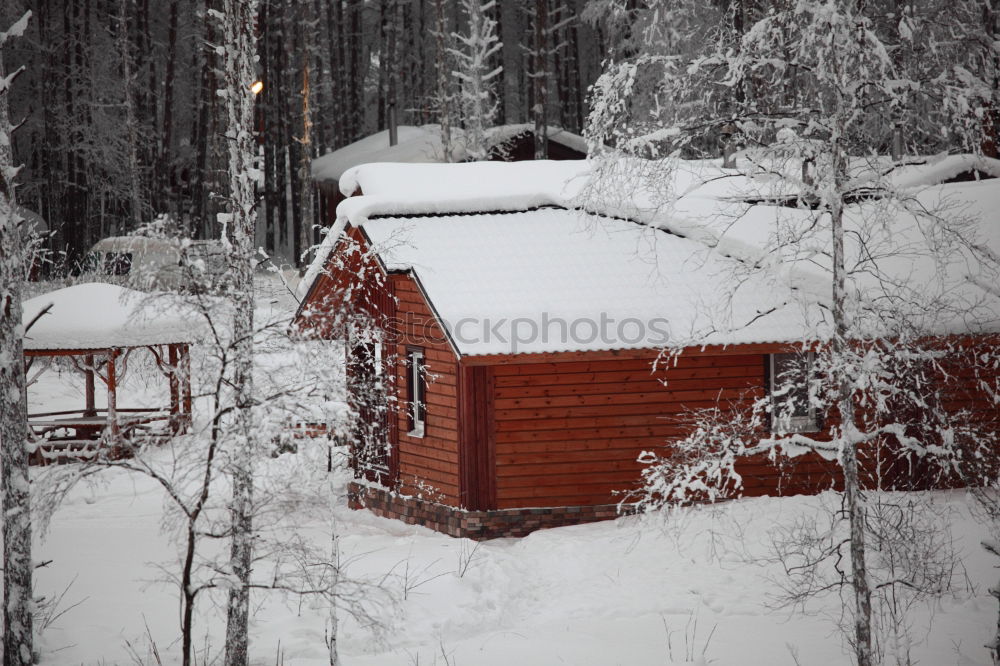 Similar – Image, Stock Photo winter forest Cold Tree