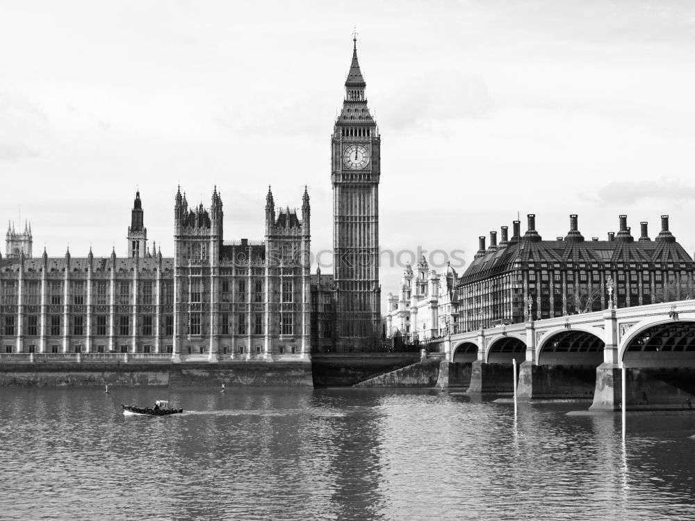 Similar – Seagull at Big Ben