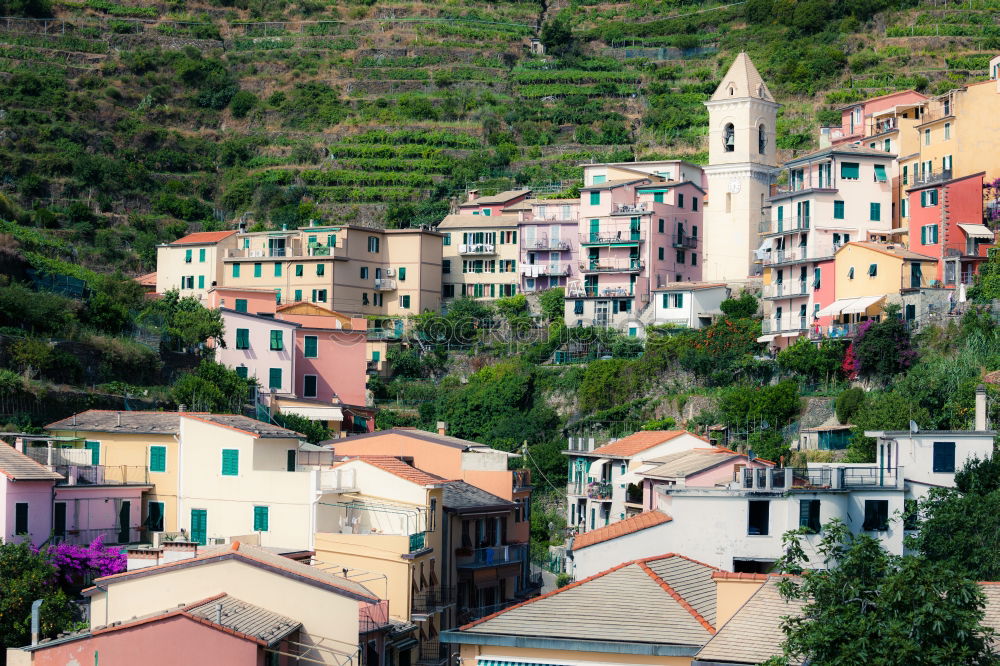 Similar – Image, Stock Photo CINQUE TERRE Village