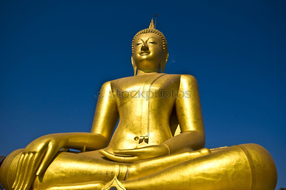 Similar – Image, Stock Photo Buddha Safari Body 1