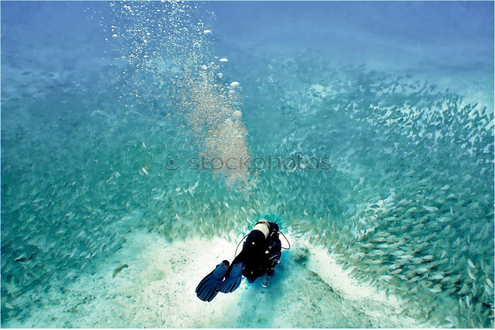 Similar – Image, Stock Photo Man in wetsuit swimming in ocean