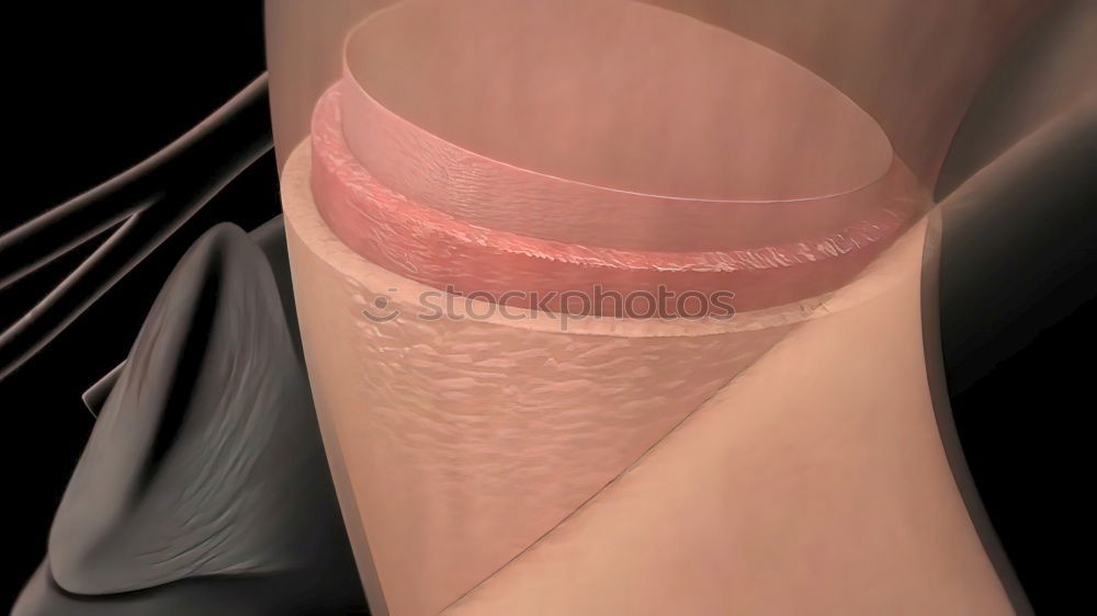 Similar – Image, Stock Photo Terminal hair of the woman