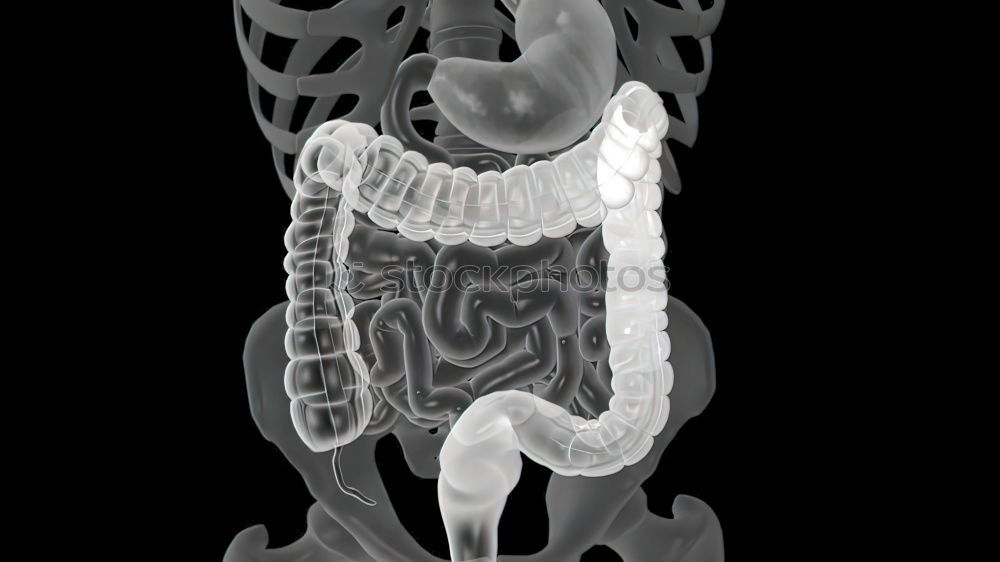 Similar – Image, Stock Photo Human skeleton X-ray examination roentgenogram