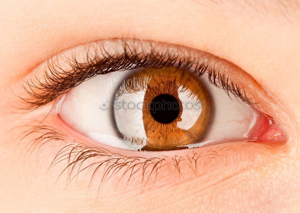 Similar – Image, Stock Photo Macro of a woman’s blue eye