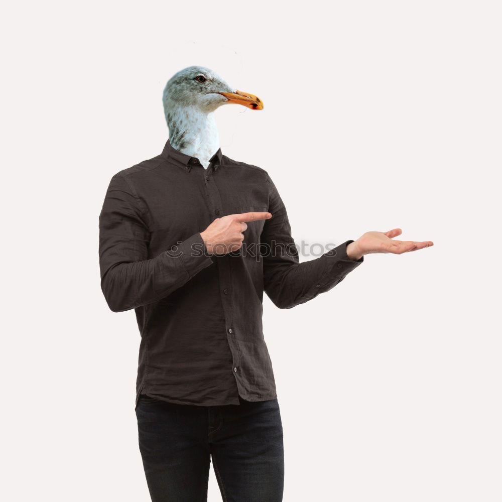 Similar – Qua Qua Qua Qua Quack Quuak, Kwak kwakwakwak.