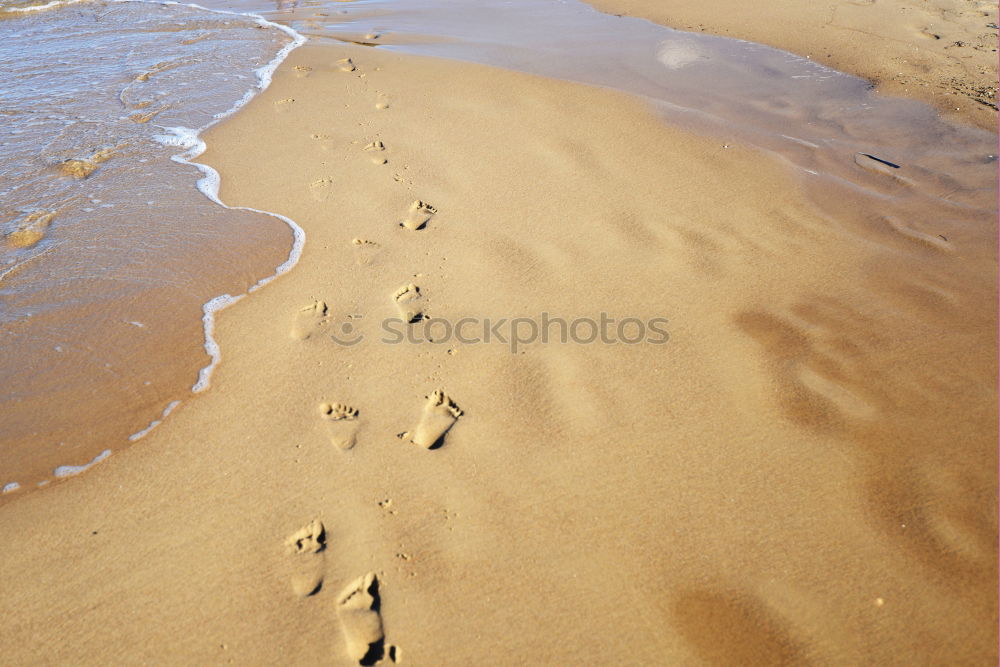 Similar – Image, Stock Photo Buffing Wheel II Nature