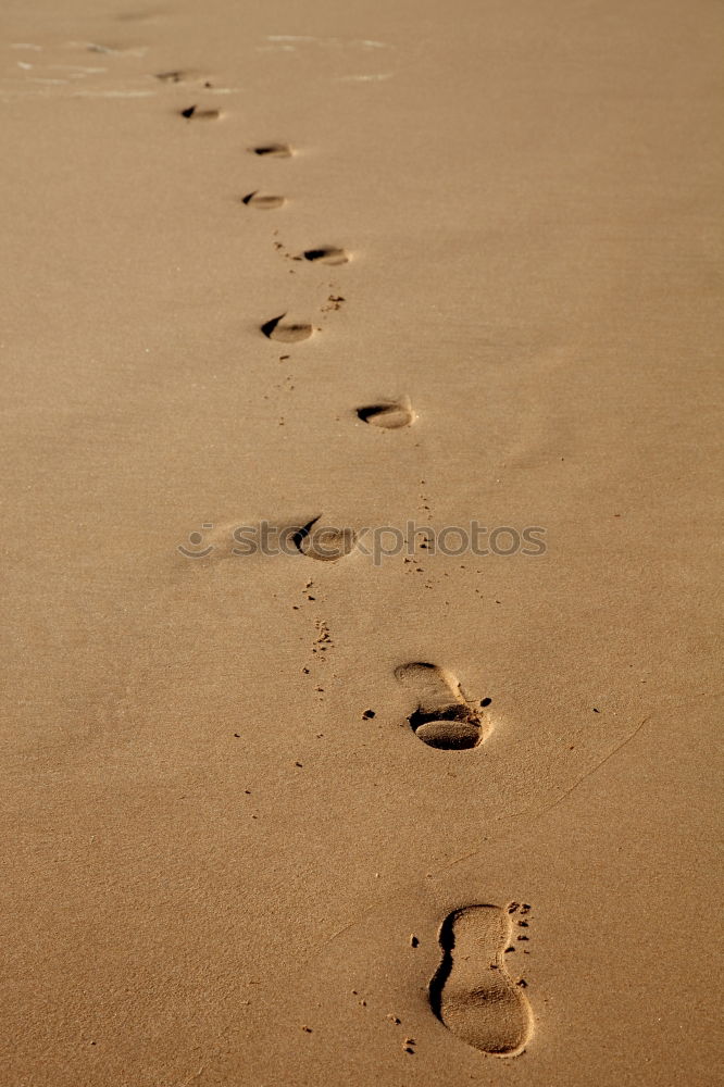 Similar – ::: Traces in the sand :::