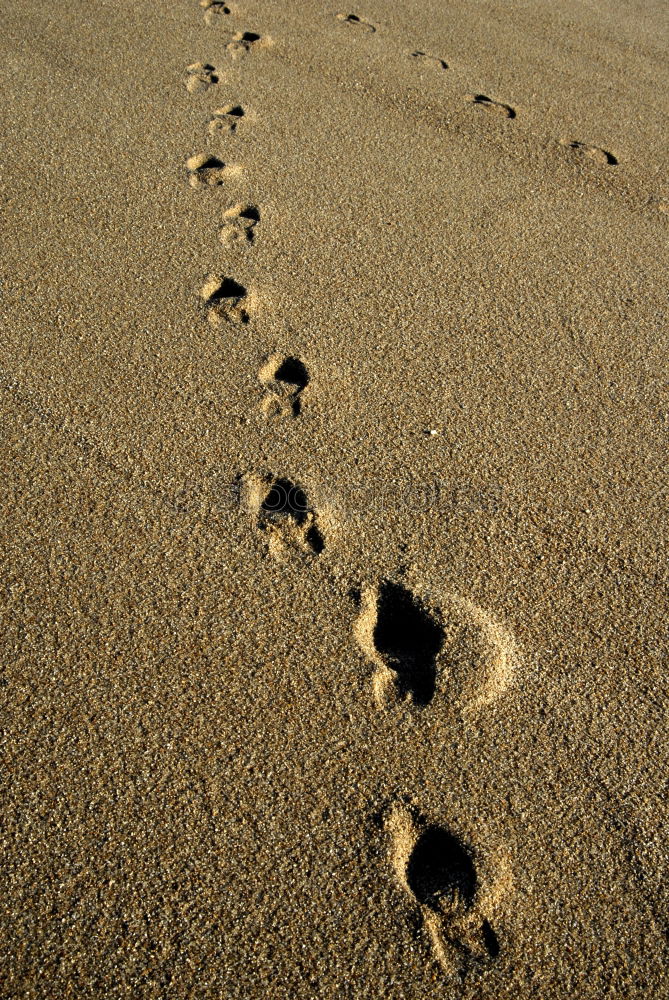 Similar – Steps on the beach