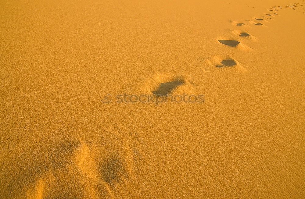 Similar – Image, Stock Photo Aerial View Of Sportive Woman Running On Beach