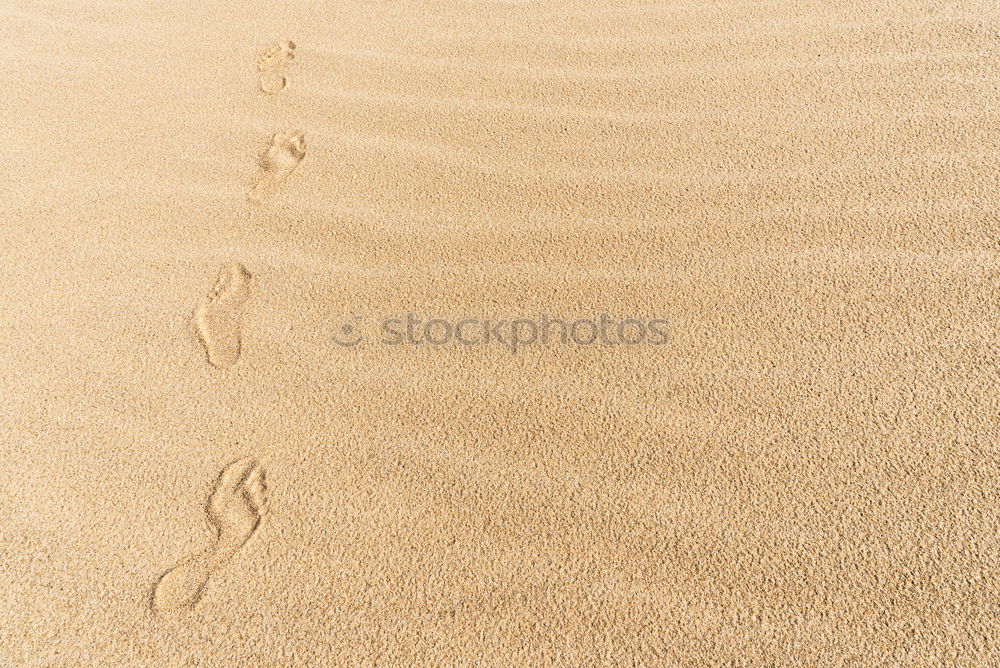 Similar – lines in sand Sand