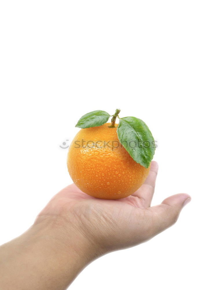 hands holding a natural orange