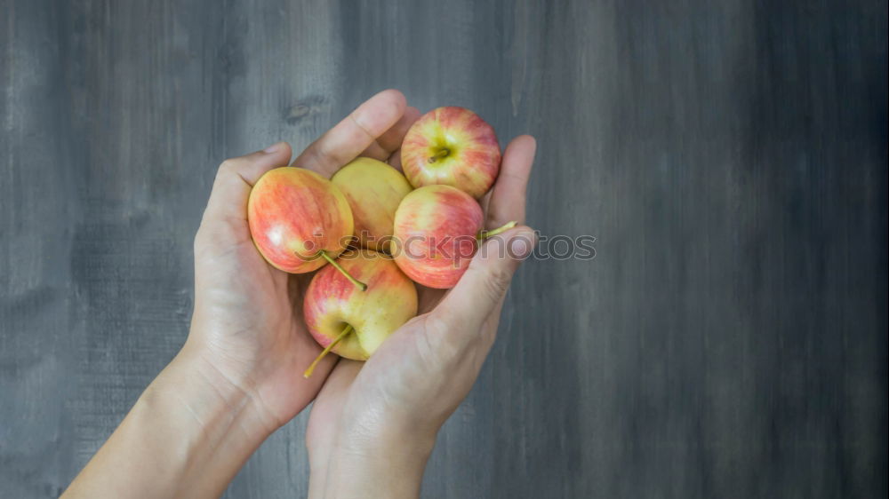 Similar – Image, Stock Photo more apples Fruit Apple