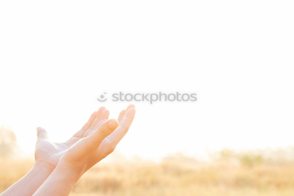 Similar – Image, Stock Photo newborn baby experiencing the world