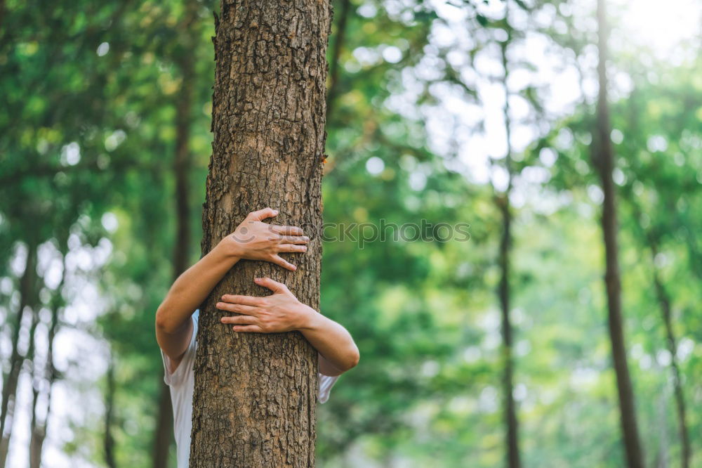 Similar – Image, Stock Photo Woman showing tree to child