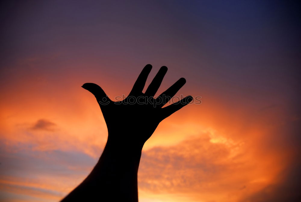 Similar – Orange Child Girl Hand