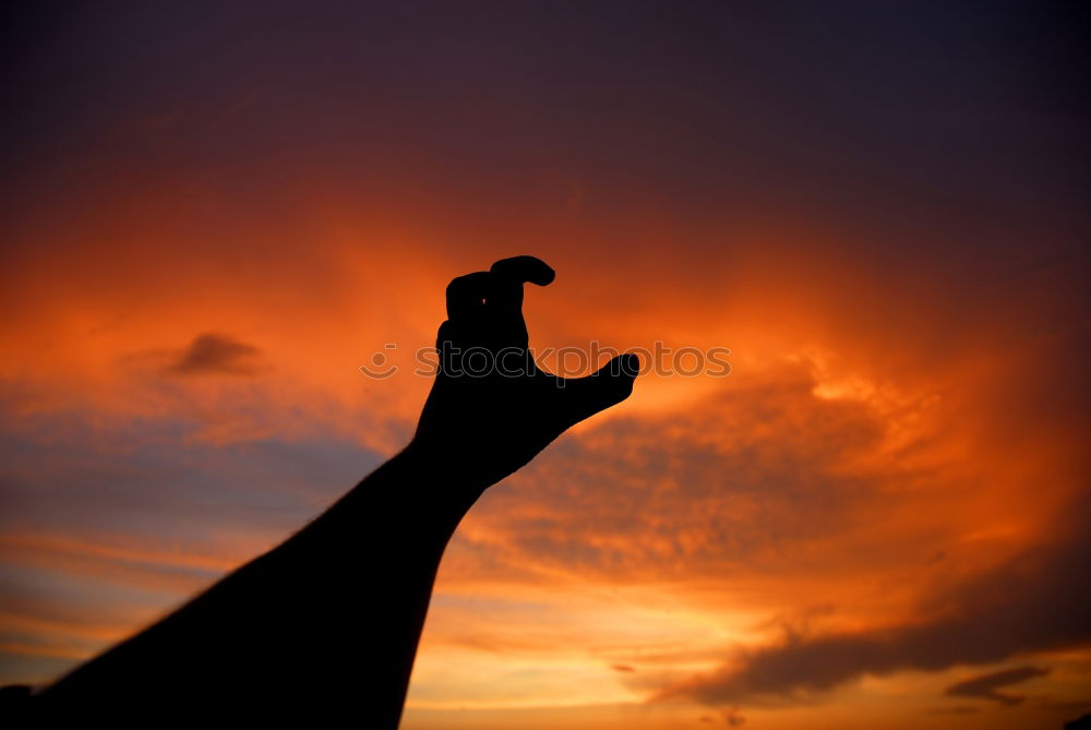 Similar – Image, Stock Photo legless Jump Dark Man Knee