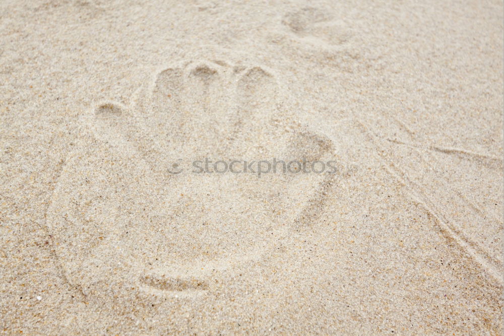 Similar – Footprints on the sandy beach