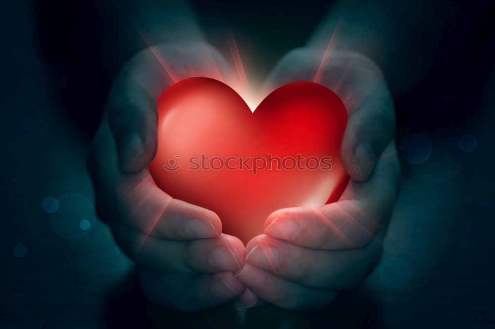 Similar – Image, Stock Photo Female hands holding heart shaped gift box.