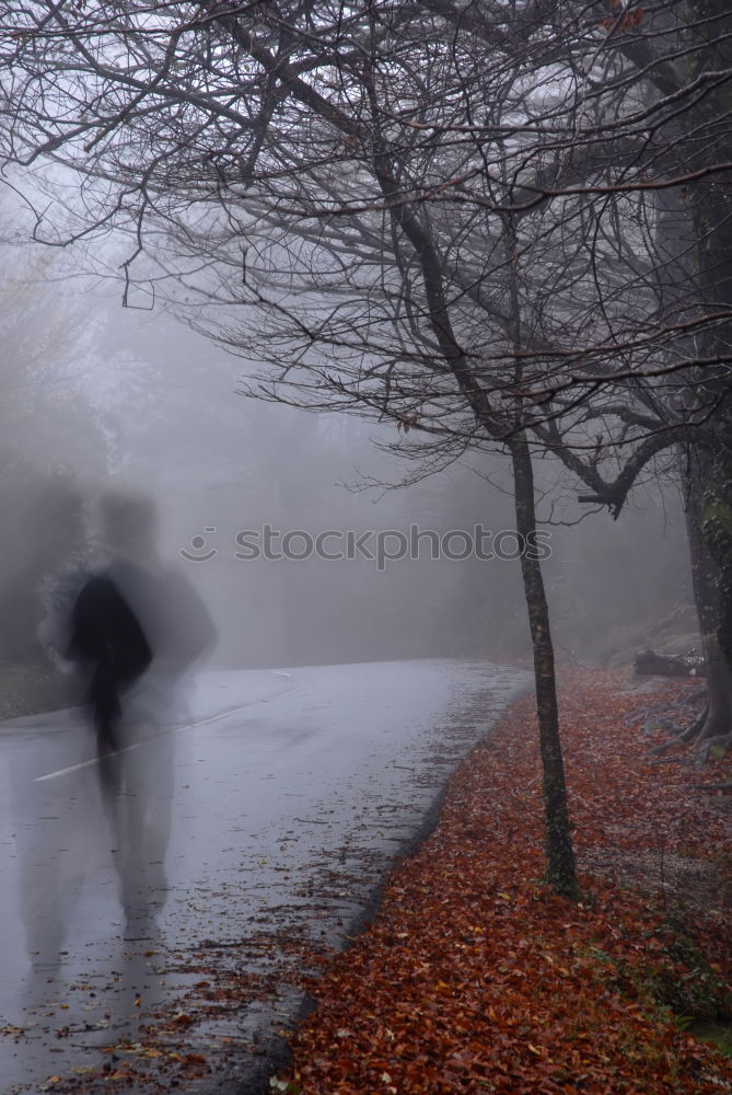 Image, Stock Photo la solitaria Red Green