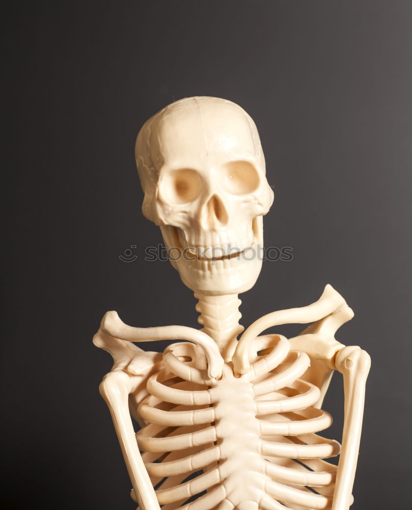 Similar – Image, Stock Photo Skeleton