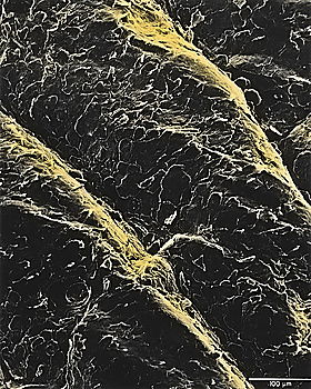 Similar – Image, Stock Photo Lava texture and cracked ground surface