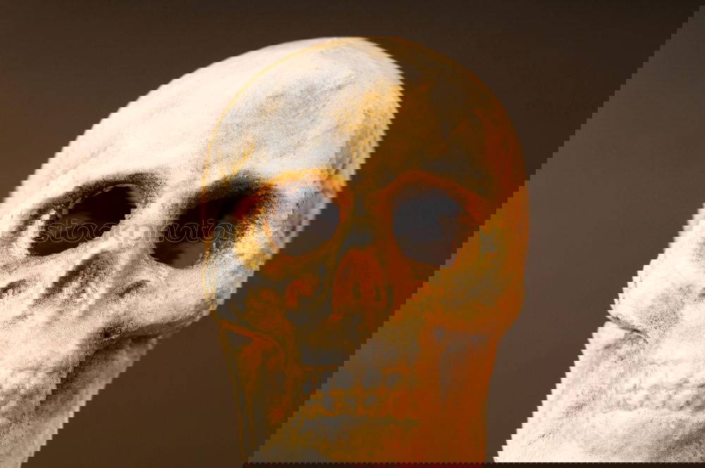 Similar – Image, Stock Photo What’s looking…? Art