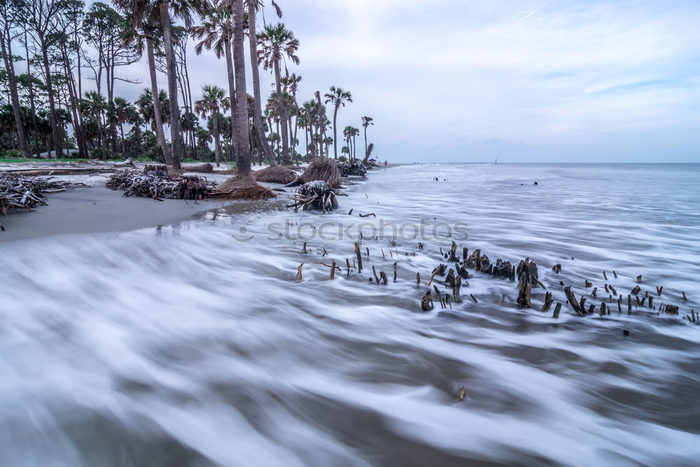 Similar – Image, Stock Photo Santa Barbara Beach