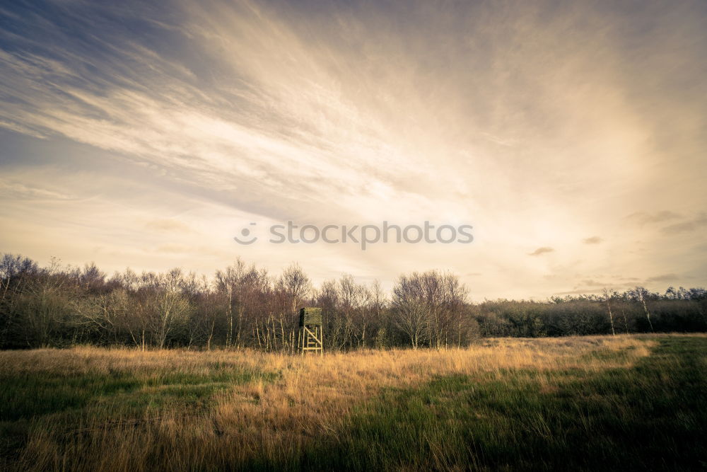 Similar – Image, Stock Photo Ipweger Moor Nature