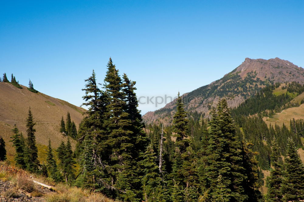 Similar – Maroon-Snowmass Wilderness in Colorado