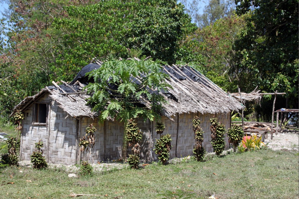 Similar – Image, Stock Photo Wooden house in forest