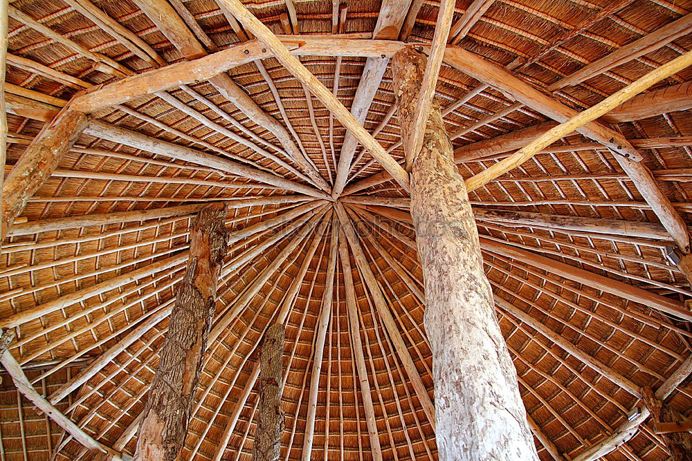 Similar – Foto Bild Viel Holz vor der Hütte