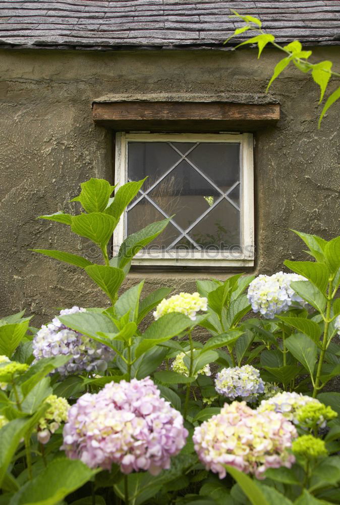 Similar – Image, Stock Photo forgotten heyday Landscape