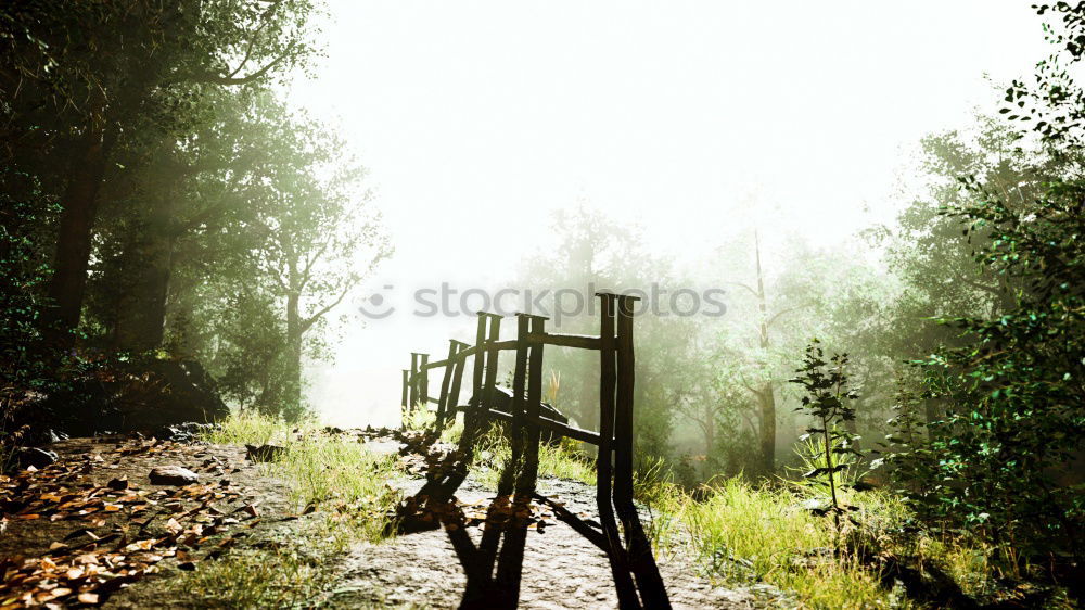 Similar – Image, Stock Photo wooden walkway Wood