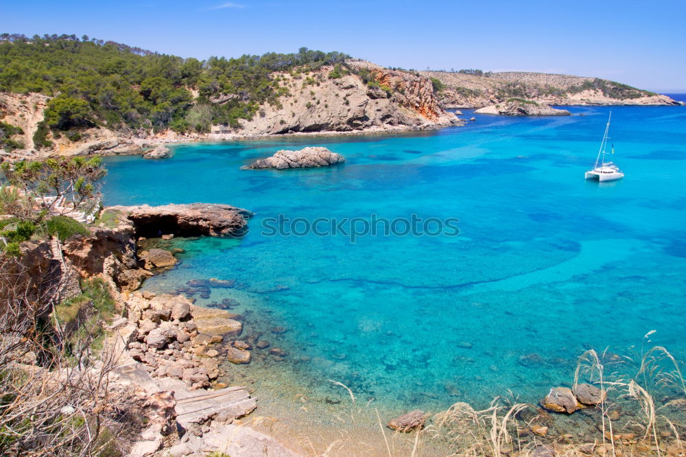 Similar – Image, Stock Photo Cinque Terre XX Nature