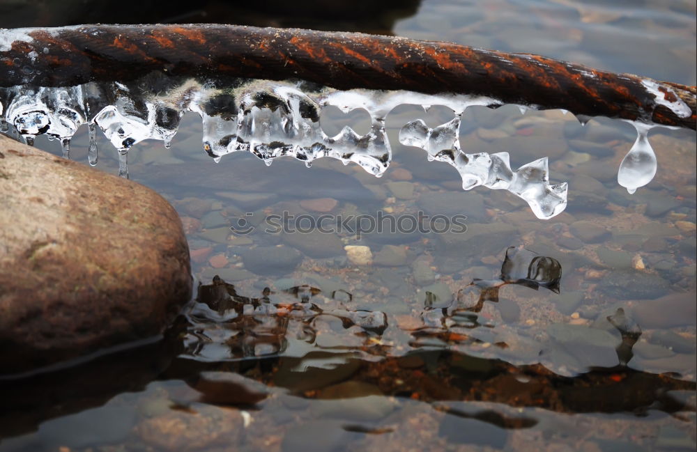 Image, Stock Photo spiderfalls Leaf Autumn