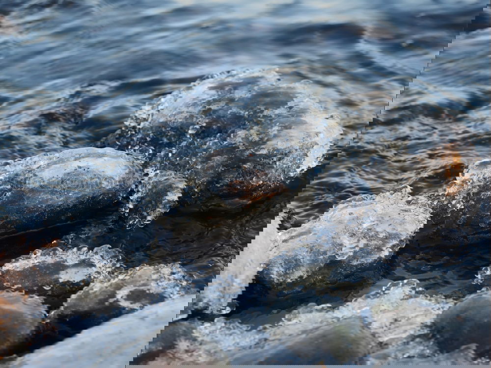 Similar – Image, Stock Photo Glass bowl and bridge