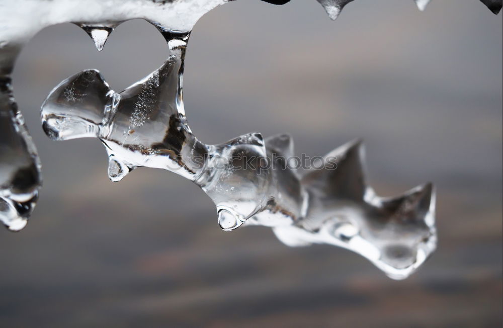 Similar – water on water with leaf padding