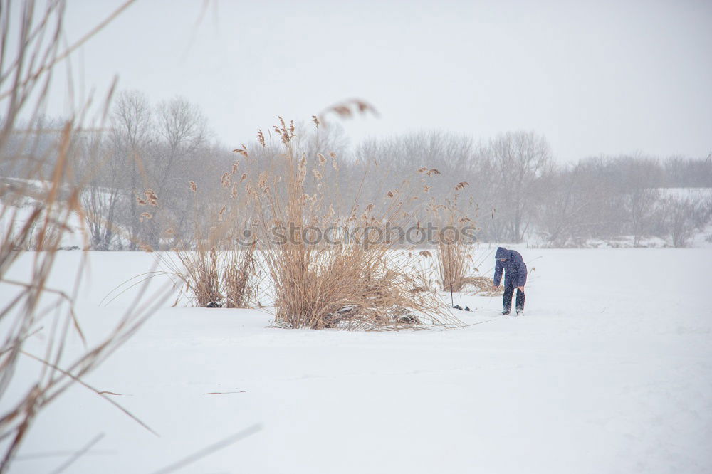 Similar – Family, mother and two daughters, spending time together walking outdoors in winter. Woman is pulling sled with her little daughter, a few years old girl, through forest covered by snow while snow falling, enjoying wintertime. Mother is wearing red winter