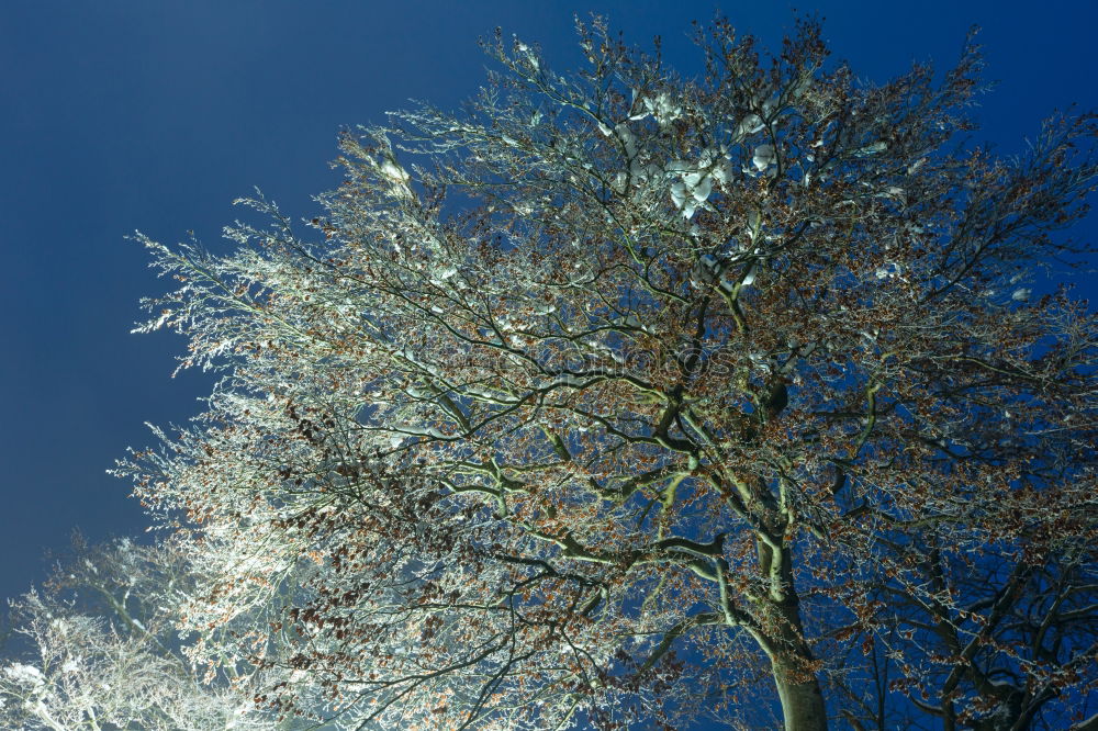 Similar – blauweiß mit Seitenwind