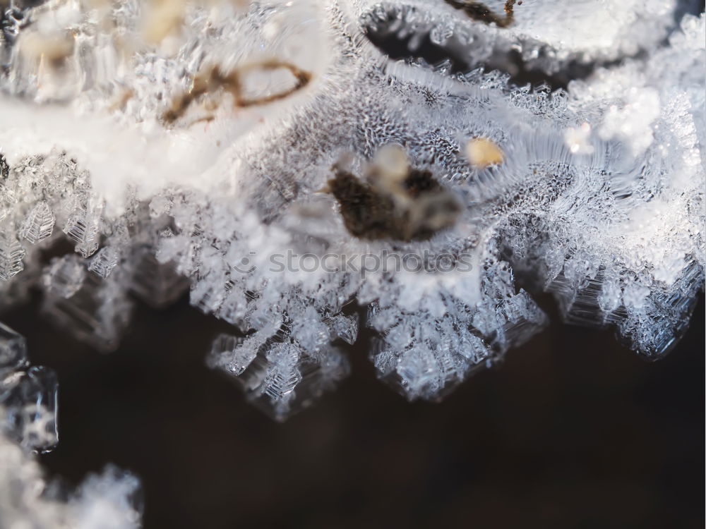 Similar – Image, Stock Photo ice age Winter Environment