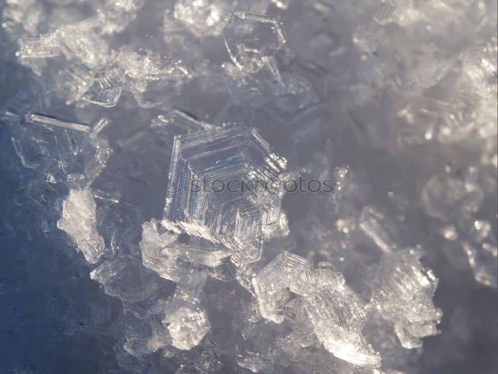 Similar – Image, Stock Photo ice layer Nature Ice Frost