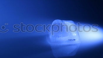 Image, Stock Photo Jellyfish Spell 3 Aquarium