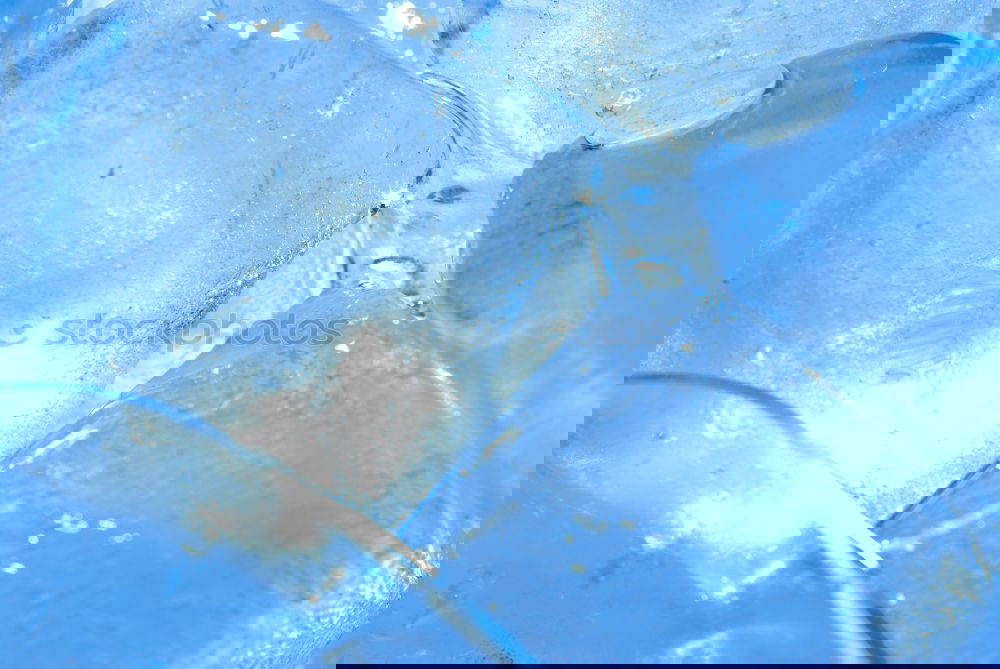 Similar – Foto Bild Eiskalt Eiswürfel obskur