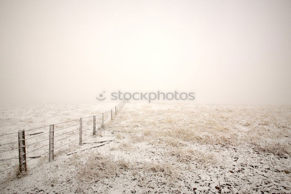 Similar – winter beach