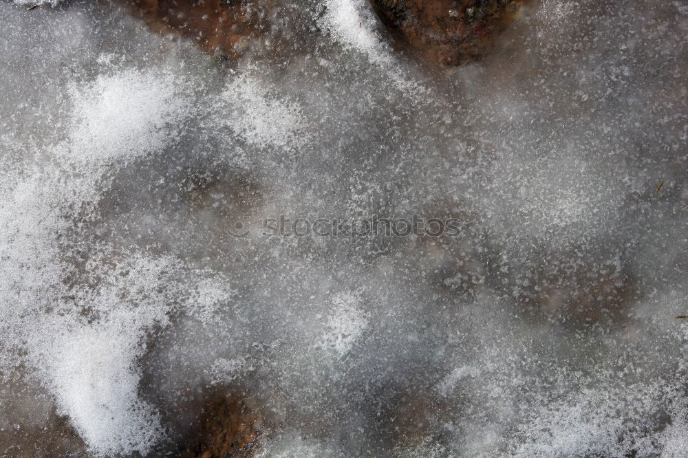 Similar – Image, Stock Photo ice age Winter Environment