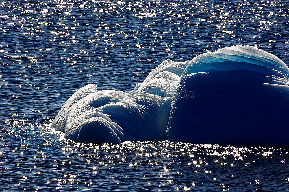 Similar – Foto Bild Völlig kopflos Schwan Hals